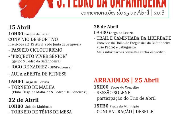 Comemoraes25deAbril2018_F_10_1594632199.