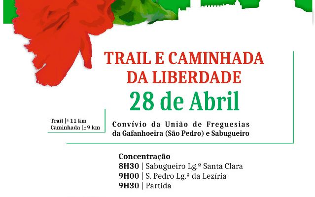 Comemoraes25deAbril2018_F_13_1594632199.