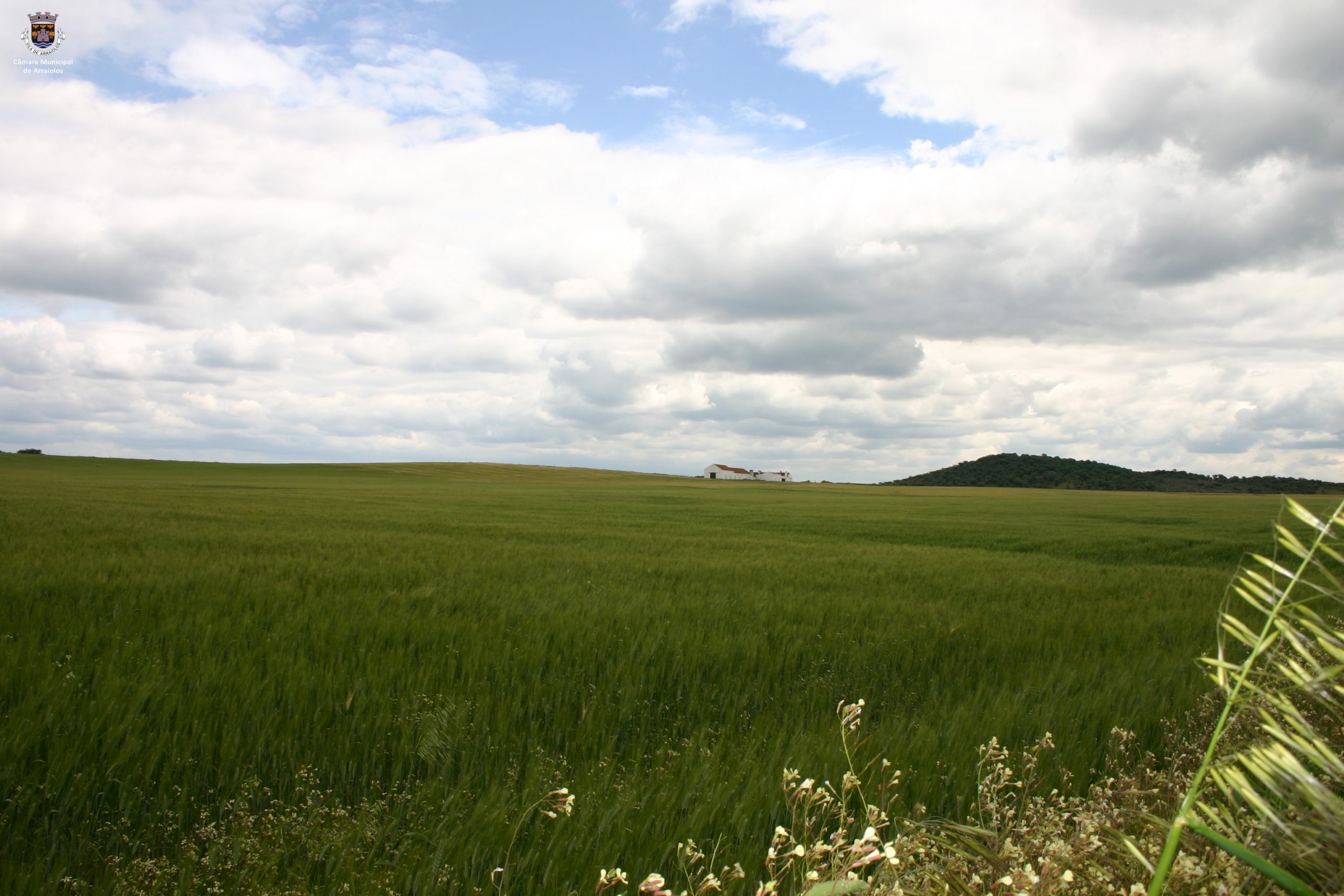 Ecopista de Arraiolos