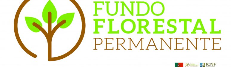 fundo florestal