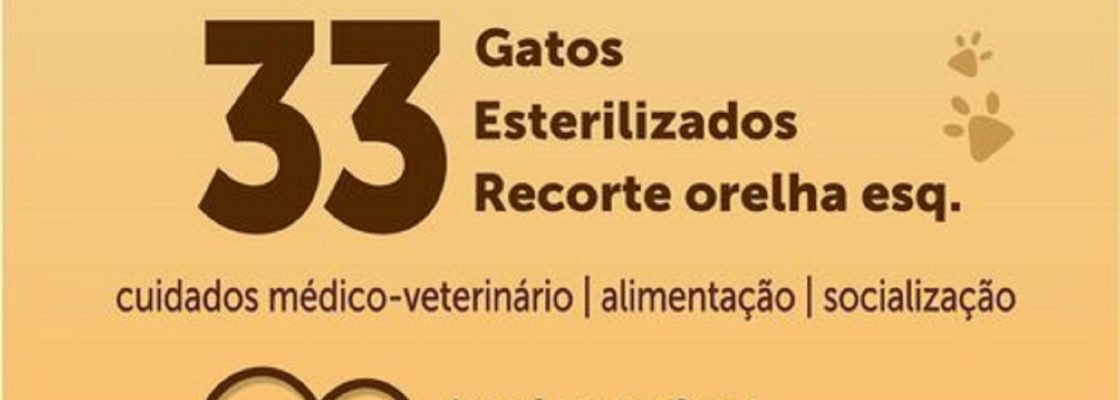 Arraiolos – CED para gatos errantes