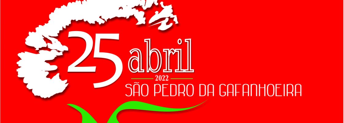 Torneio de Malha | São Pedro da Gafanhoeira