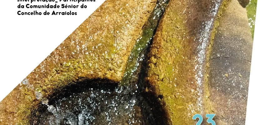 “Fontes de Água”