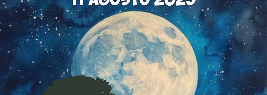 Caminhada ao Luar – 11|08|2025